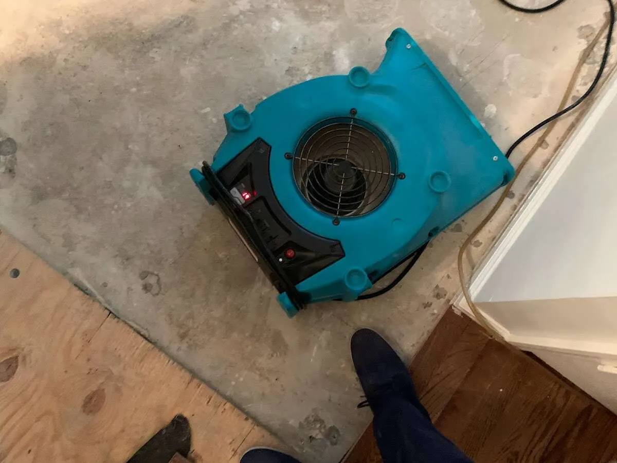 Air mover drying subfloor during Leak Detection & Repair in Catasauqua
